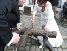 Baumstamm zersägen